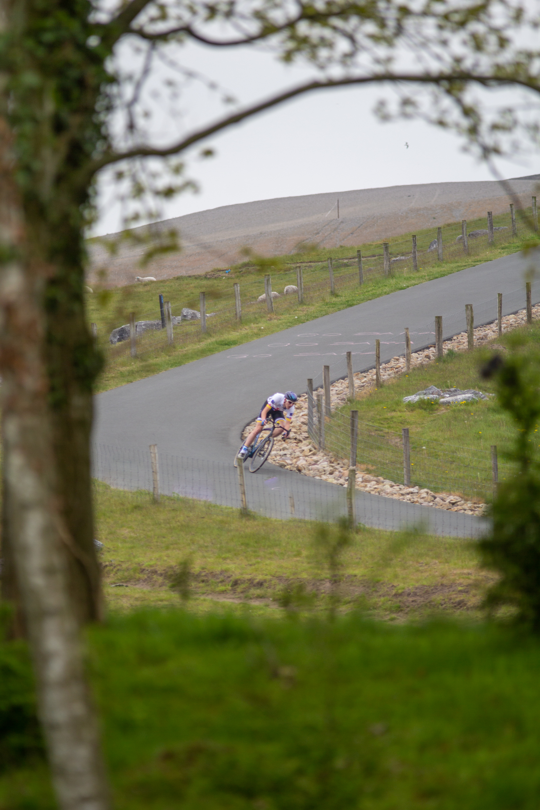 A cyclist wearing a blue jersey, riding down the road.