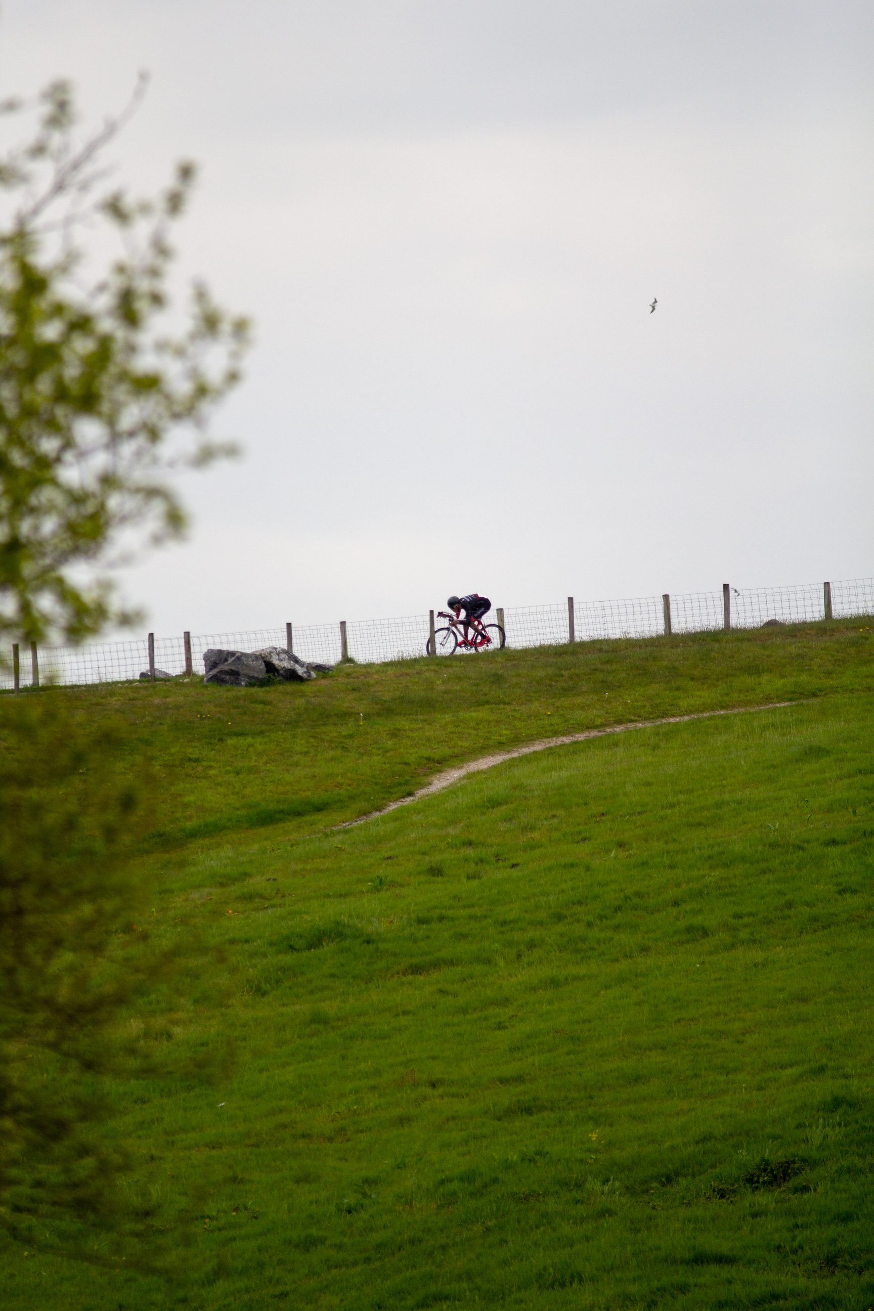 A mountain of green grass with a bike and person sitting next to each other.