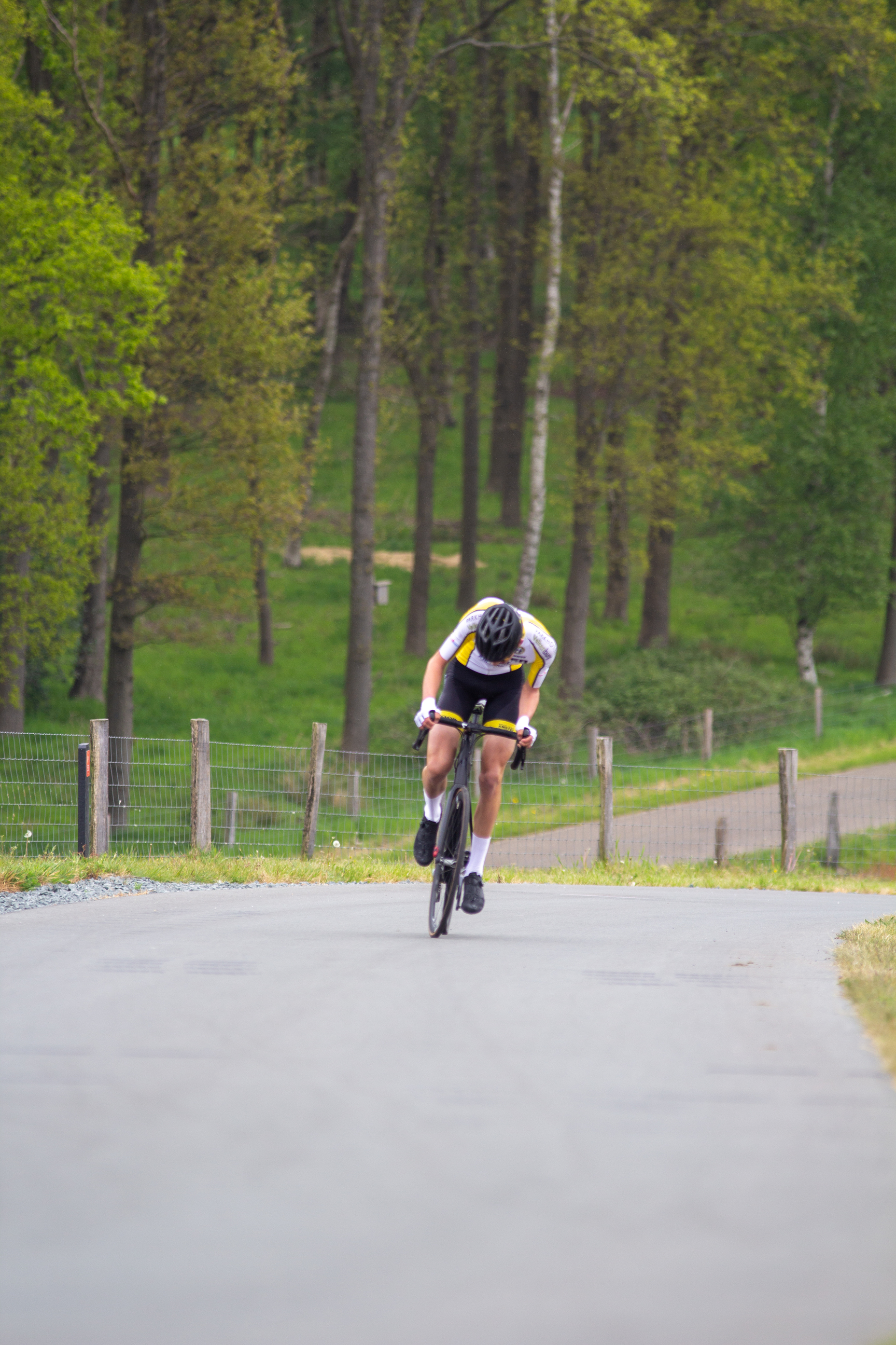 A man on a bicycle in the road with trees and green grass in the background.