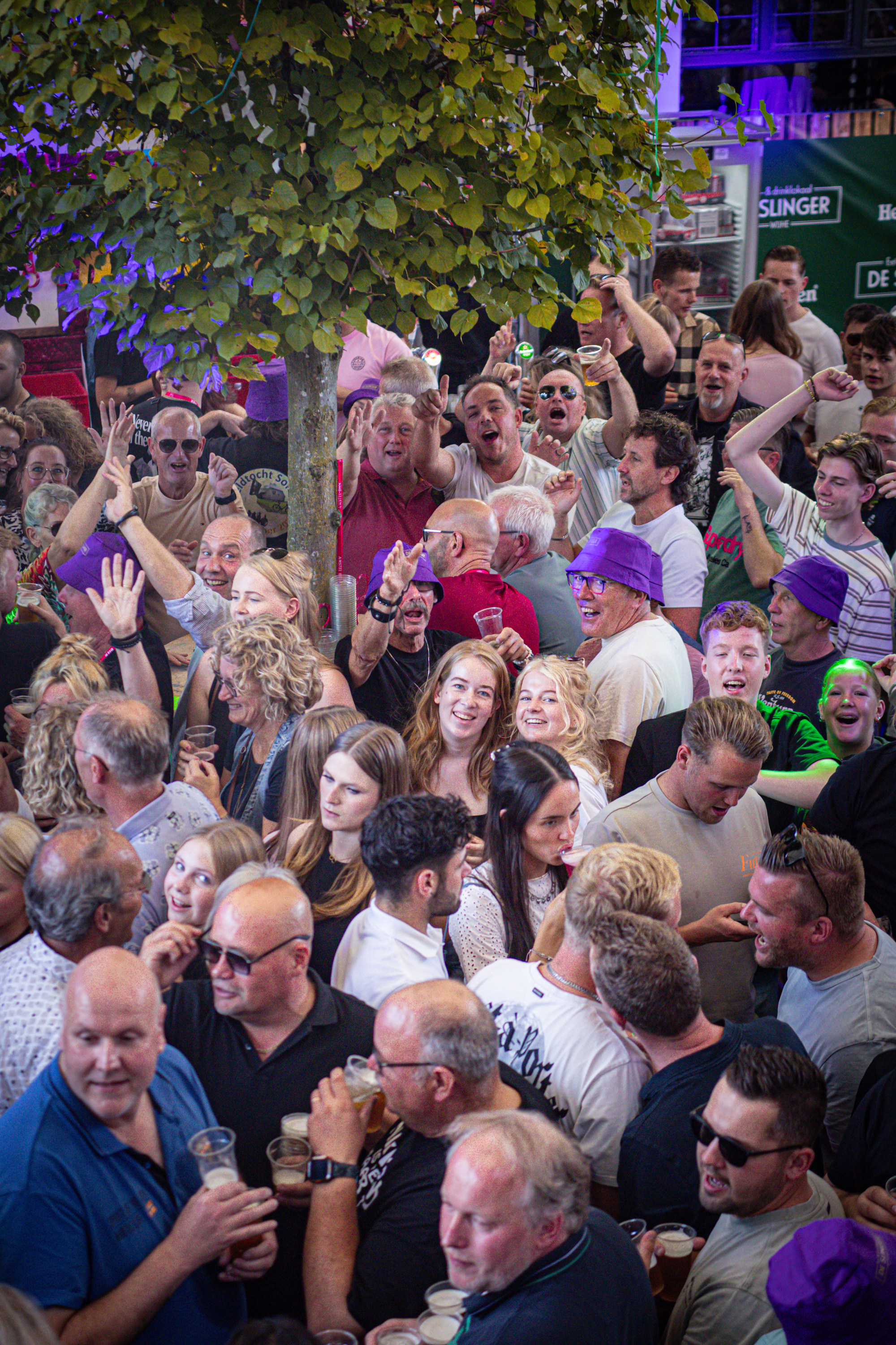 A large crowd of people at a concert with a tree in the background and some individuals wearing purple hats.