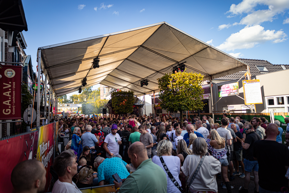 A large crowd of people standing at a festival on a sunny day.